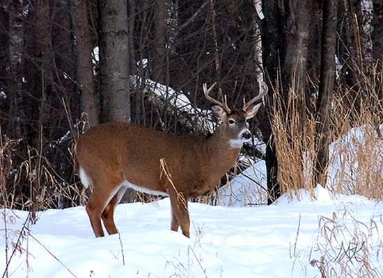 In Our Neighborhood/