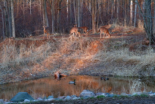 In Our Neighborhood/