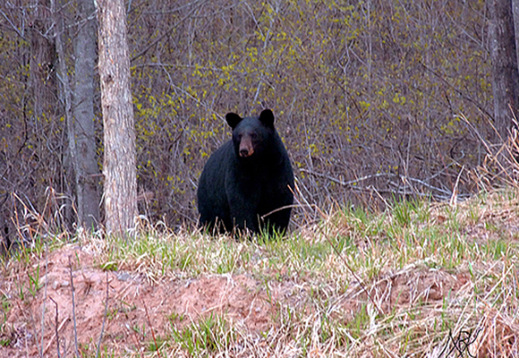 In Our Neighborhood/