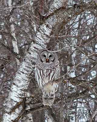 In Our Neighborhood/