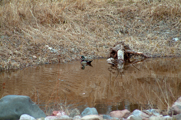 In Our Neighborhood/