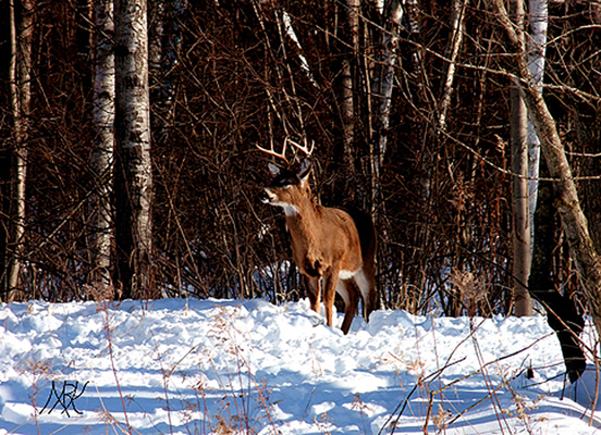 In Our Neighborhood/