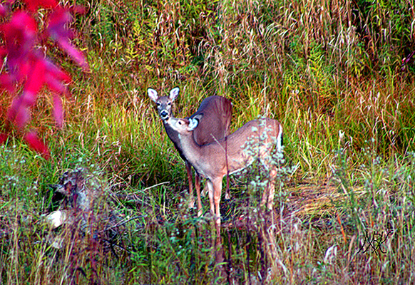 In Our Neighborhood/