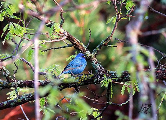 In Our Neighborhood/