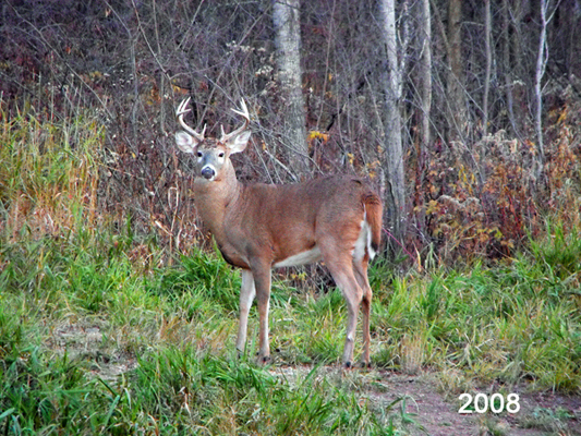 In Our Neighborhood/