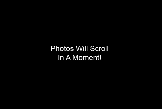 Please Wait For Scroll
